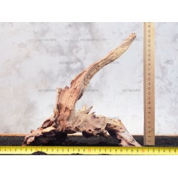 Корінь кораловий №162 для акваріума