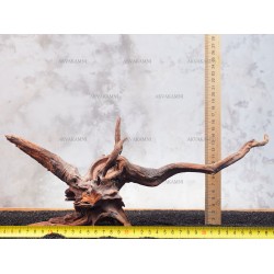 Корінь кораловий №164 для акваріума