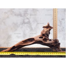 Корень коралловый №165 для аквариума