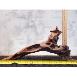 Корінь кораловий №165 для акваріума