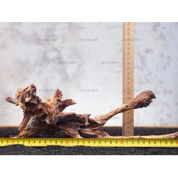 Корінь кораловий №166 для акваріума