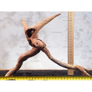 Корень коралловый №169 для аквариума