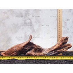 Корень коралловый №170 для аквариума