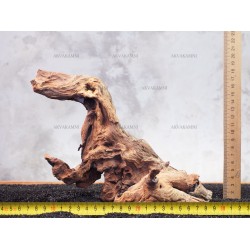 Корінь кораловий №171 для акваріума