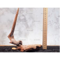 Корень коралловый №175 для аквариума