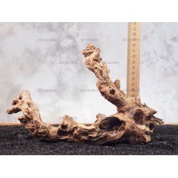 Корінь кораловий №176 для акваріума
