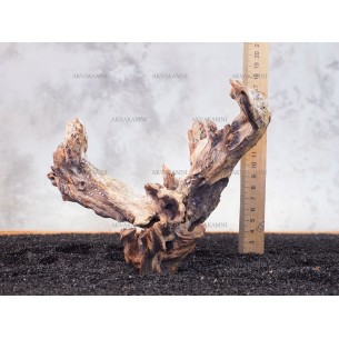 Корень коралловый №177 для аквариума