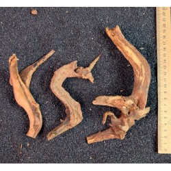 Набор ветвей азалии 3 шт