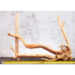 Корень Азалии №269 для аквариума