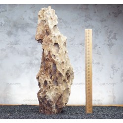Камень Дракон 284 (2.6kg)
