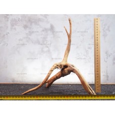 Корень Азалии №284 для аквариума