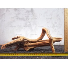 Корень Азалии №288 для аквариума