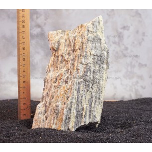 Древесный камень 231 (2.2kg)