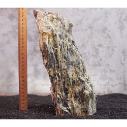 Древесный камень 238 (2.4kg)
