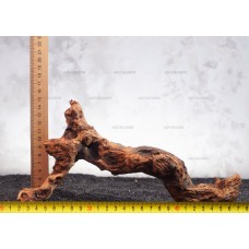 Корень коралловый №3 для аквариума