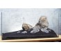 Композиция K294 из натурального камня (от 120л)