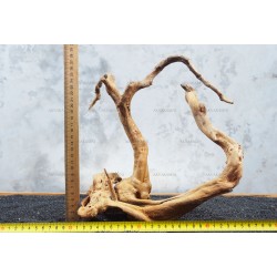 Корінь Азалії №9 для акваріума