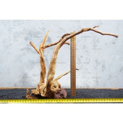 Корінь Азалії №10 для акваріума
