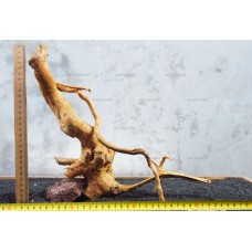Корень Азалии №11 для аквариума