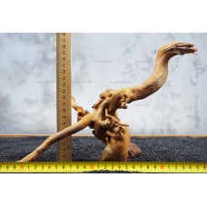 Корень Азалии №17 для аквариума
