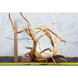 Корень Азалии №26 для аквариума