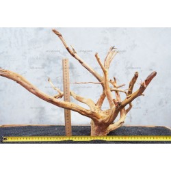 Корінь Азалії №27 для акваріума