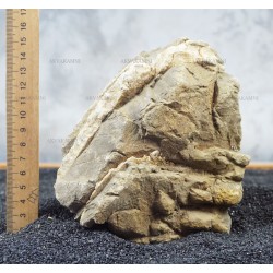 Карпатский камень 102 (1.5kg)