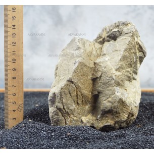 Карпатский камень 103 (1.6kg)