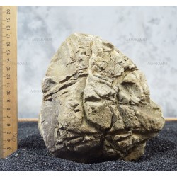 Карпатский камень 109 (3.4kg)