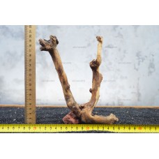 Корінь кораловий №37 для акваріума