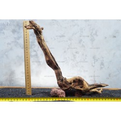 Корень коралловый №44 для аквариума