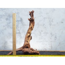 Корень коралловый №46 для аквариума