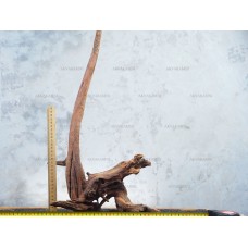 Корінь кораловий №54 для акваріума