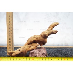 Корень коралловый №57 для аквариума