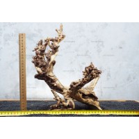 Корень коралловый №75 для аквариума