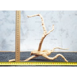 Корень Азалии №32 для аквариума