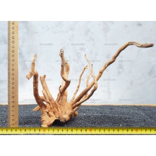Корень Азалии №33 для аквариума