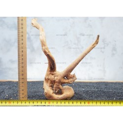 Корень Азалии №36 для аквариума