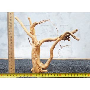 Корень Азалии №40 для аквариума