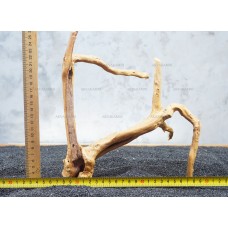 Корень Азалии №41 для аквариума