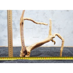 Корень Азалии №41 для аквариума