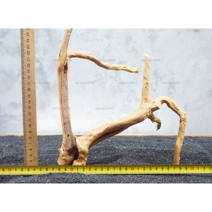Корень Азалии №41 для аквариума