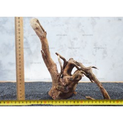 Корень Азалии №42 для аквариума