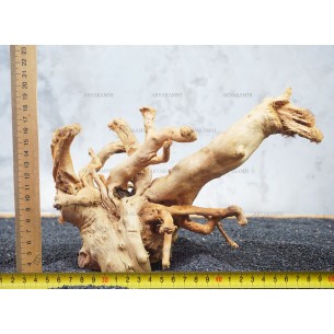 Корень Азалии №43 для аквариума