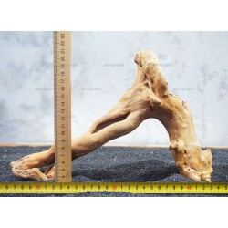Корень Азалии №44 для аквариума