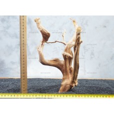 Корень Азалии №46 для аквариума