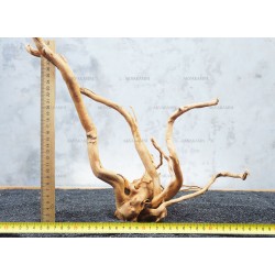 Корень Азалии №47 для аквариума