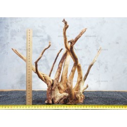 Корень Азалии №48 для аквариума