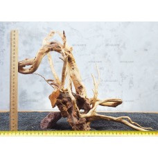 Корень Азалии №50 для аквариума