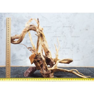 Корень Азалии №50 для аквариума